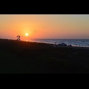 Meet your Posher, Gracie